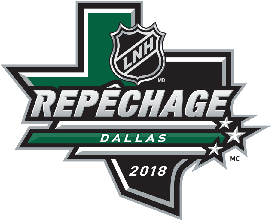 NHL Draft 2018 Alt. Language Logo iron on transfers for clothing